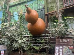-呀路古热带植物园
