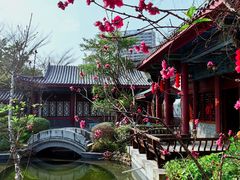 -大亚湾红树林城市湿地公园