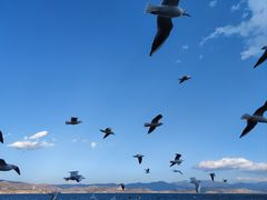 -大理洱海