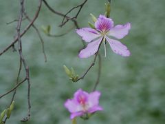 -南国桃园旅游度假区