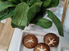 -傣妹火锅(狮子桥店)