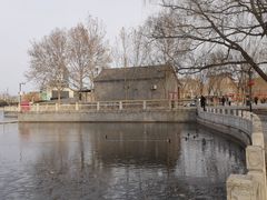 -莲花池公园