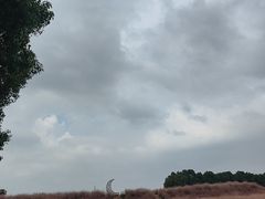 -嘉北郊野公园