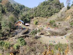 -江西阳明山国家森林公园