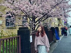 -京都御所