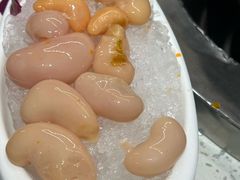 -钢管厂五区小郡肝火锅串串香(总店)
