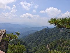-王顺山国家森林公园