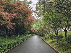 -全国青少年井冈山革命传统教育基地