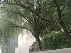 -洪星渔庄临平菜(星万里店)
