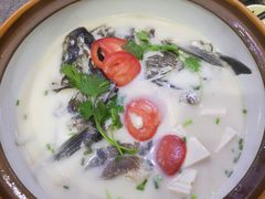 -全乐鱼馆·淳牌有机鱼直营店
