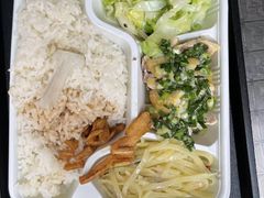 -老凌记广东烧鹅饭(宝利金店)