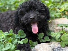 -卤儿道道(龙游路店)