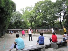 -晓港公园
