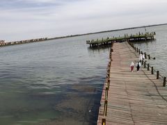 -包头南海湿地景区