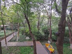 -红梅公园