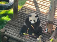 -大连森林动物园