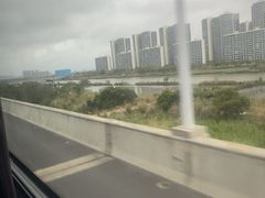 -芒洲湿地公园