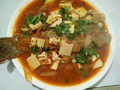 -煲来饱去冷水鱼