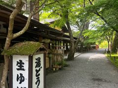 -三千院