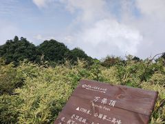 -武陵山森林公园