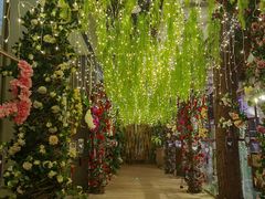 -正佳雨林生态植物园