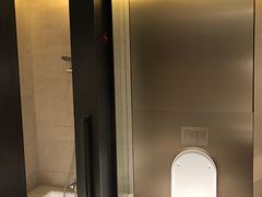 -新加坡瑞士史丹福酒店