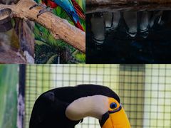 -海合安武汉极地海洋公园