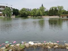 -古塔公园