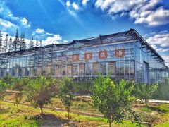 景点-上海长兴岛郊野公园