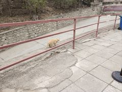 -北京十三陵国家森林公园蟒山景区