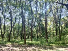 -敬亭山风景名胜区