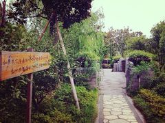 iphone_upload_pic-宁波九龙湖开元度假村