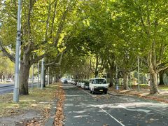 -墨尔本皇家植物园
