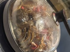 -半岛听涛蒸汽海鲜自助(K11店)