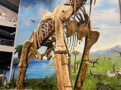 -辽宁古生物博物馆