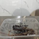0元捡着宝了——超好吃的酸甜鸭脖