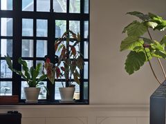 -一尺花园(安和花园店)