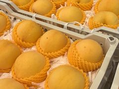 -西郊国际农产品交易中心