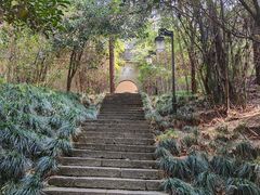 -梦姑塘文化公园