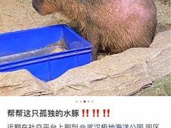 -海合安武汉极地海洋公园