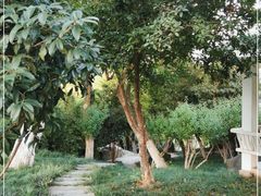 -环城公园-琥珀潭