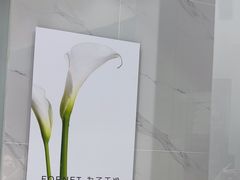 -福奈特洗衣洗鞋(宝华广场店)