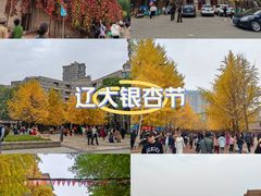 -辽宁大学(崇山校区)