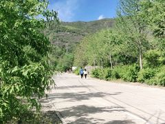 -北京十三陵国家森林公园蟒山景区