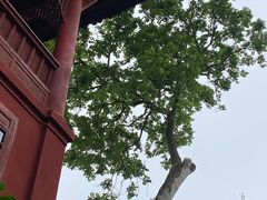 -乐山大佛风景名胜区乌尤寺南门-售票点