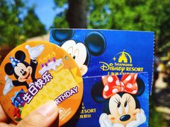 -上海迪士尼度假区