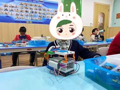 -雄孩子机器人少儿编程STEM教育(迪诺水镇校区)