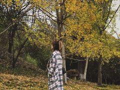 -千年银杏谷文化旅游区