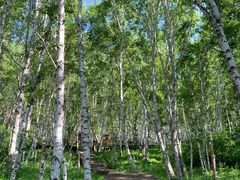 -塞罕坝国家级自然保护区