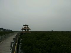 -北海金海湾红树林生态旅游区